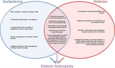 Emerging Roles of Dyslipidemia and Hyperglycemia in Diabetic Retinopathy: Molecular Mechanisms and Clinical Perspectives